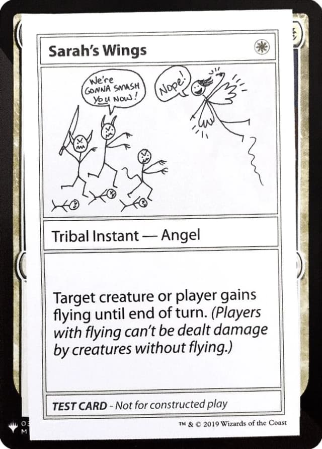 Sarah's Wings image