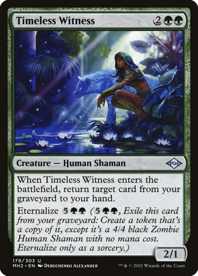 Timeless Witness image