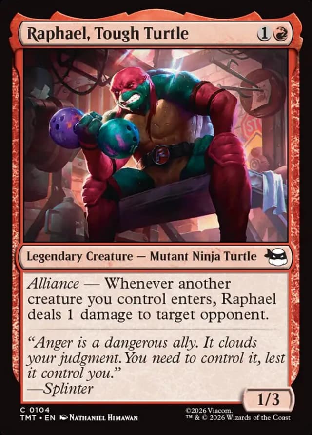 Raphael, Tough Turtle image