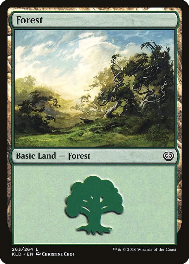 Forest image