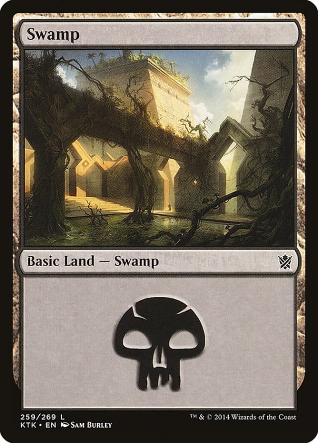 Swamp image