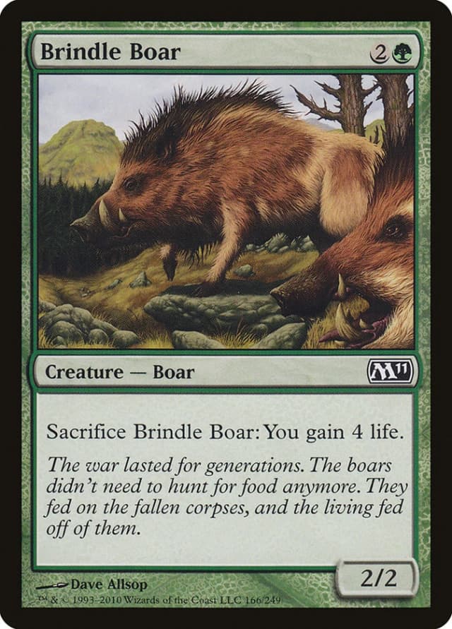Brindle Boar image