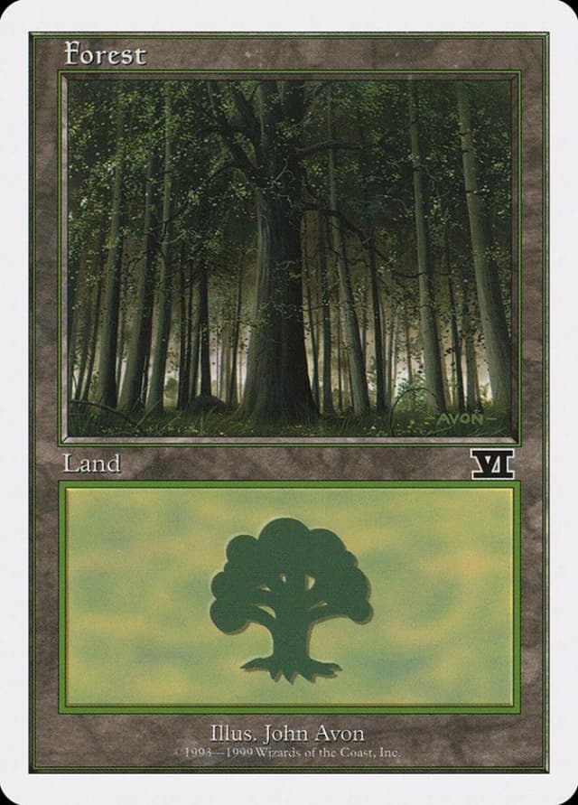 Forest image