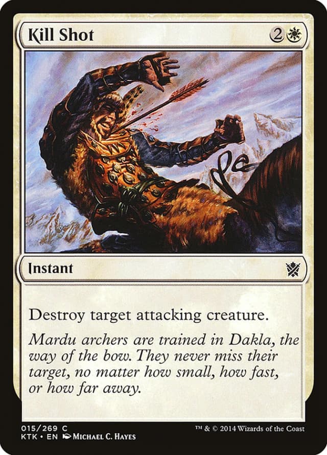 Kill Shot image