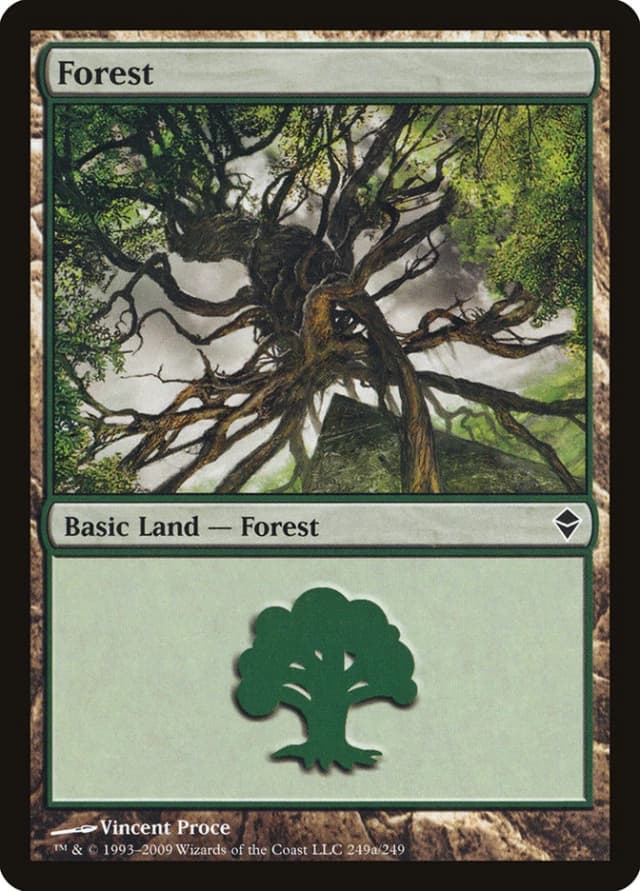 Forest image