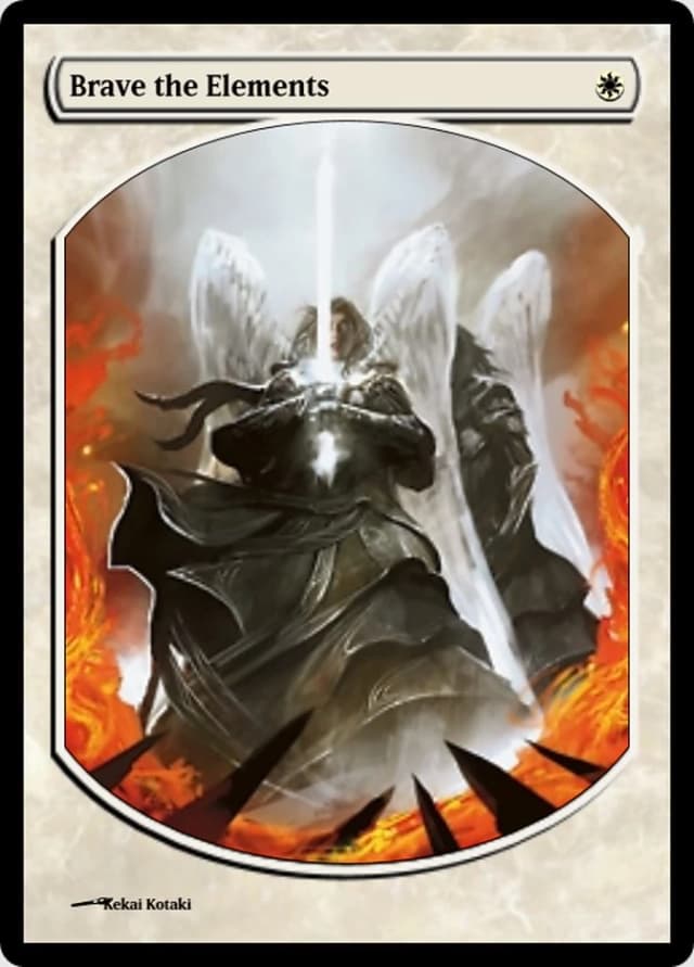 Brave the Elements image