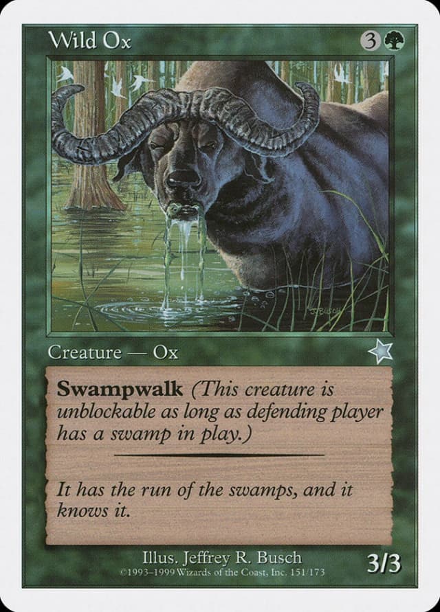 Wild Ox image