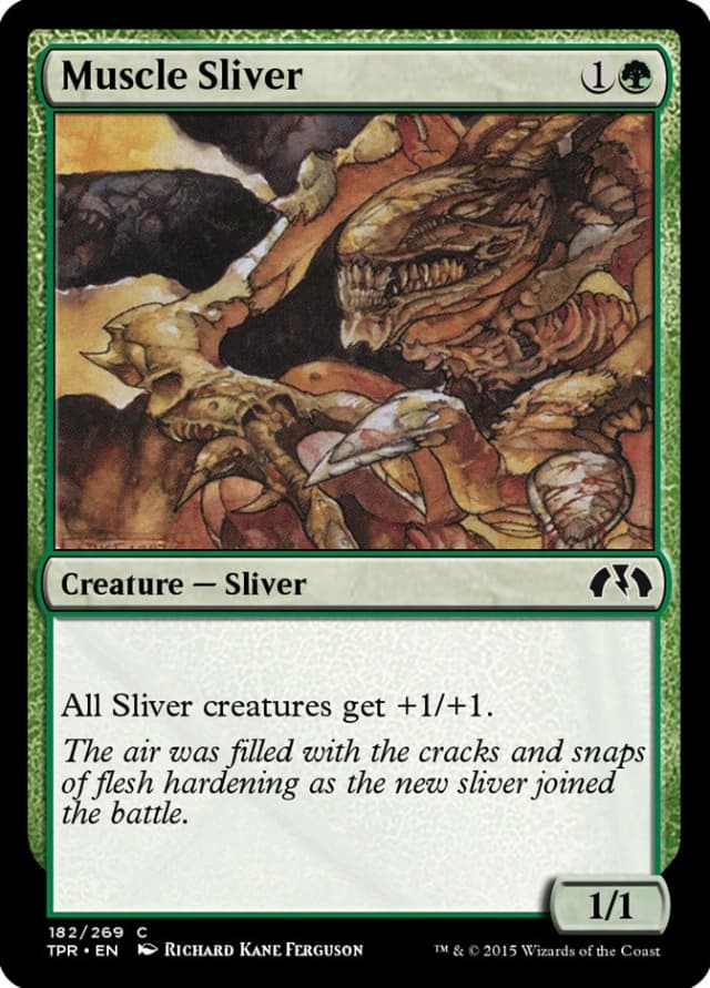 Muscle Sliver image