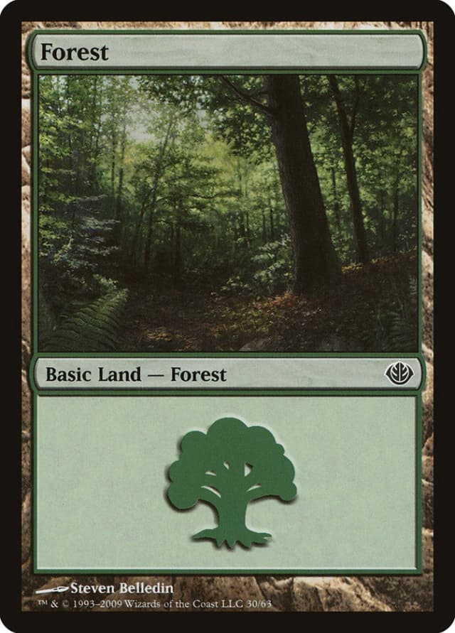 Forest image