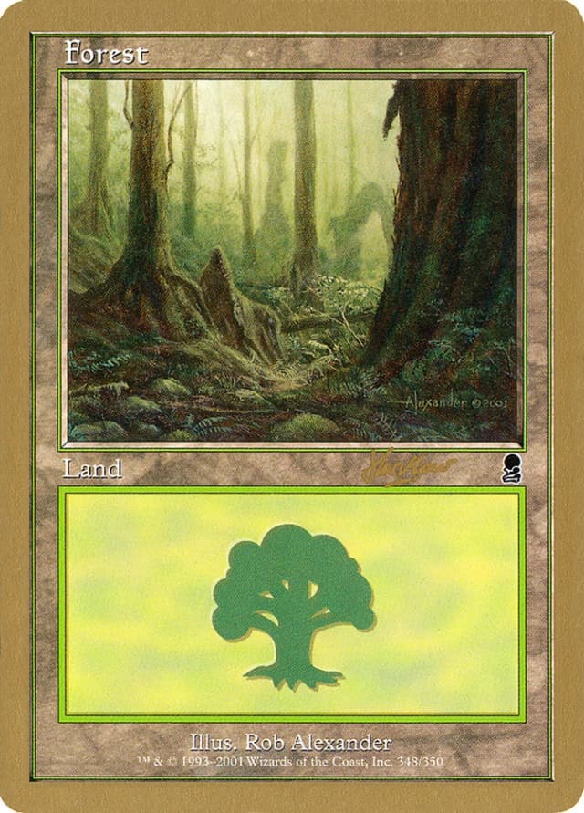 Forest image