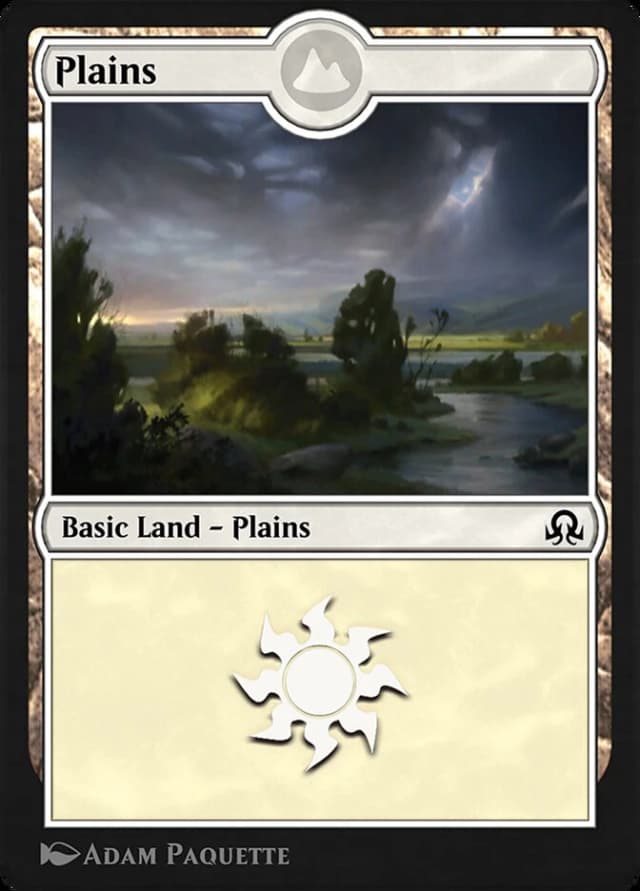 Plains image