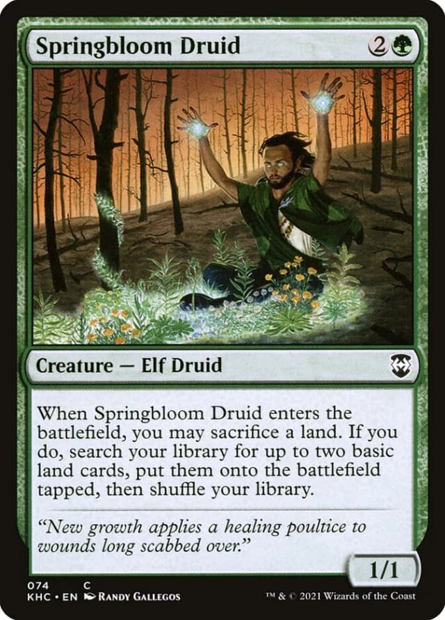 Springbloom Druid image