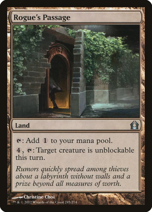 Rogue's Passage image