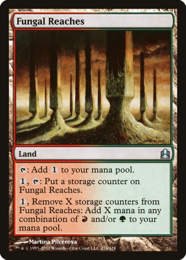 Fungal Reaches image