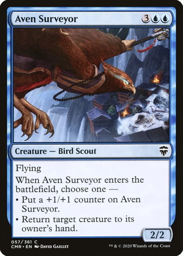 Aven Surveyor image