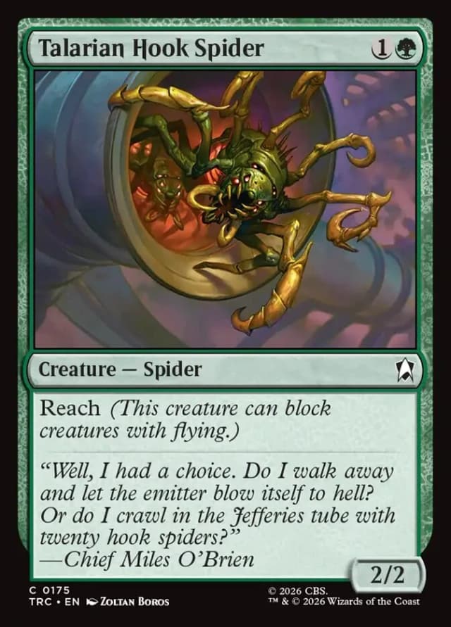 Talarian Hook Spider image