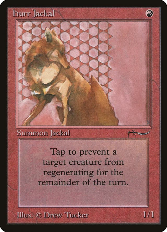 Hurr Jackal image