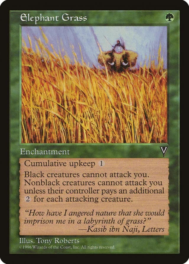 Elephant Grass image