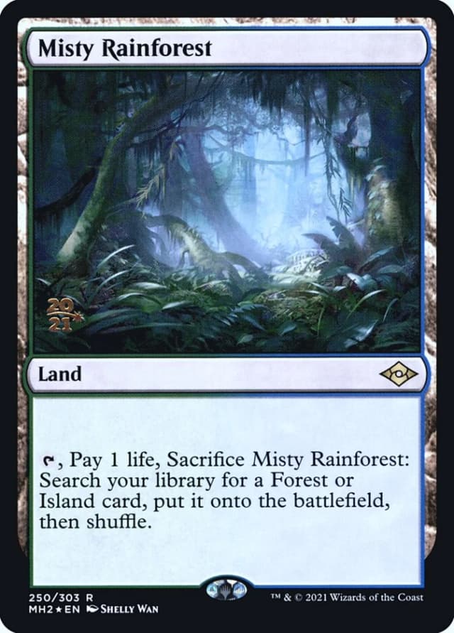 Misty Rainforest image