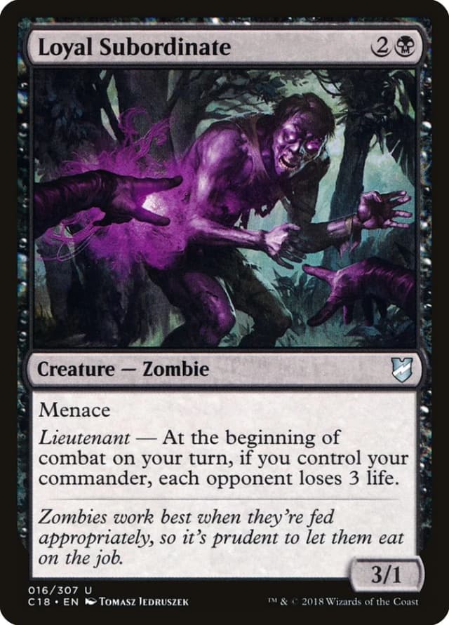 Loyal Subordinate image