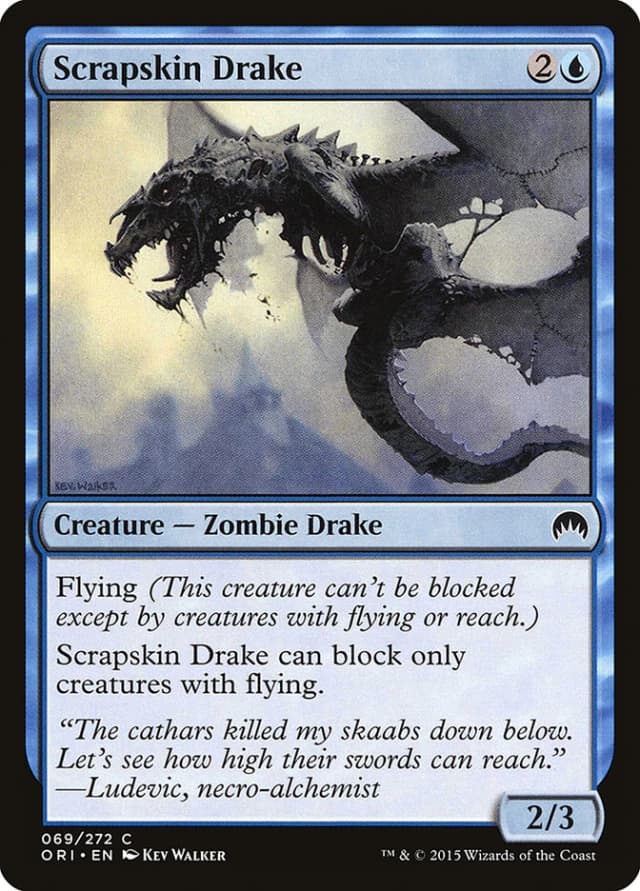 Scrapskin Drake image