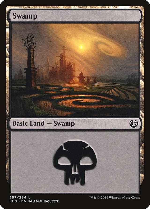 Swamp image
