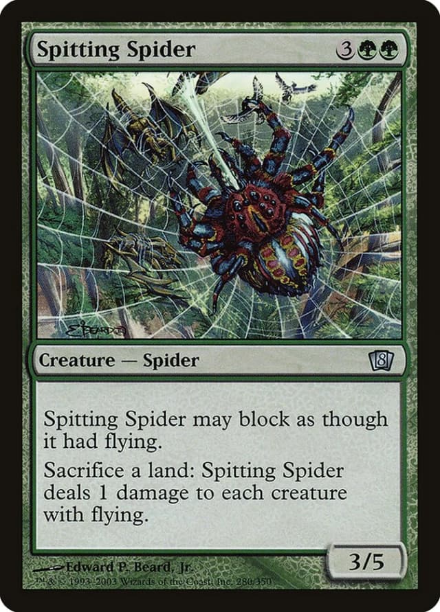 Spitting Spider image
