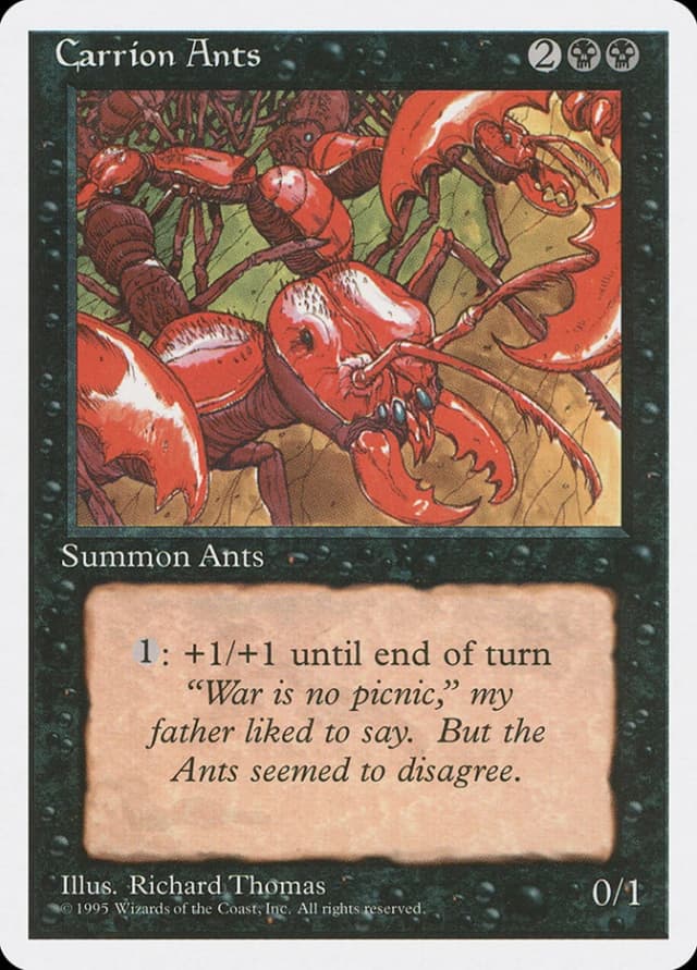Carrion Ants image