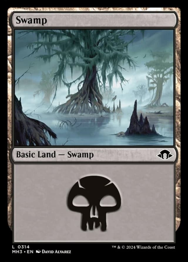 Swamp image