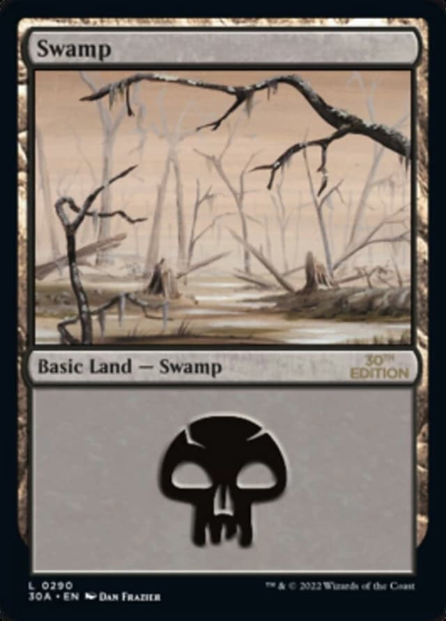 Swamp image
