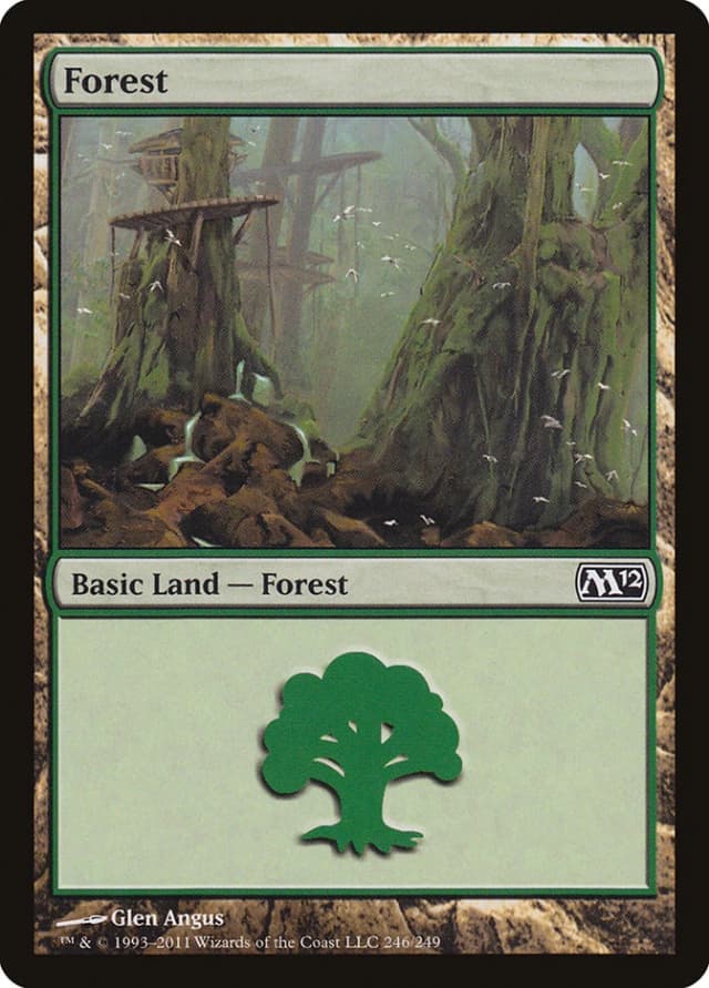Forest image
