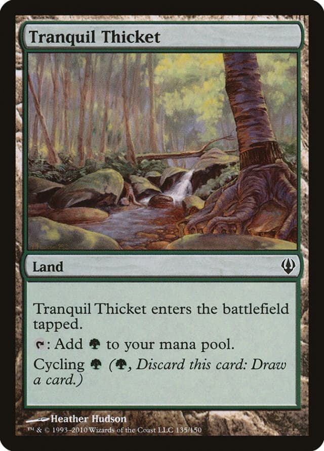 Tranquil Thicket image