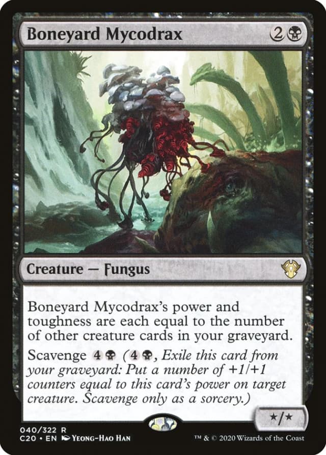 Boneyard Mycodrax image