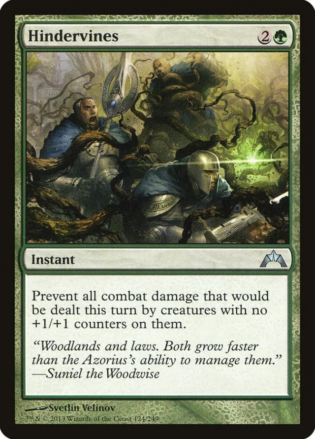 Hindervines image