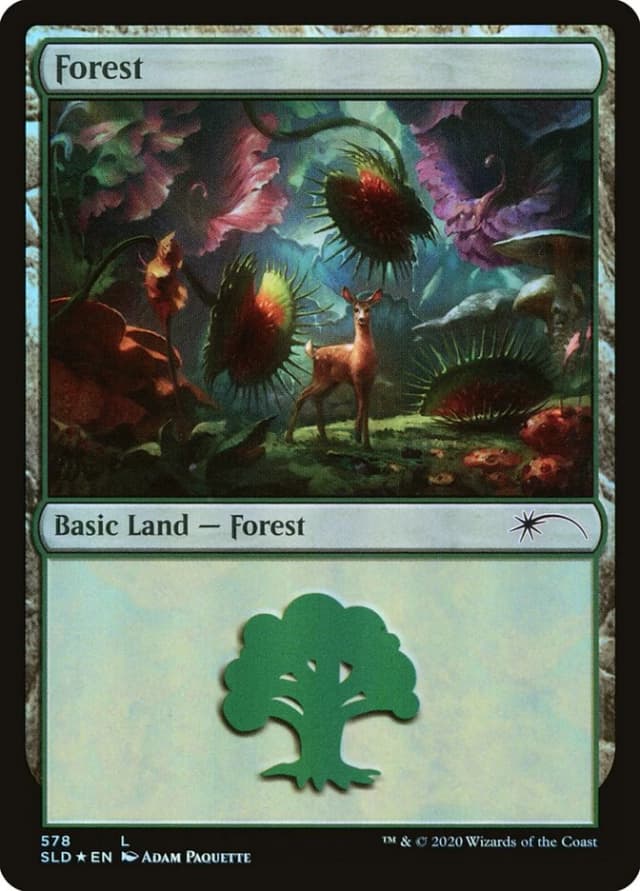 Forest image