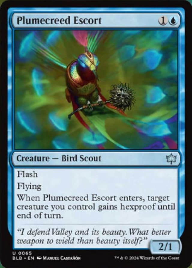 Plumecreed Escort image