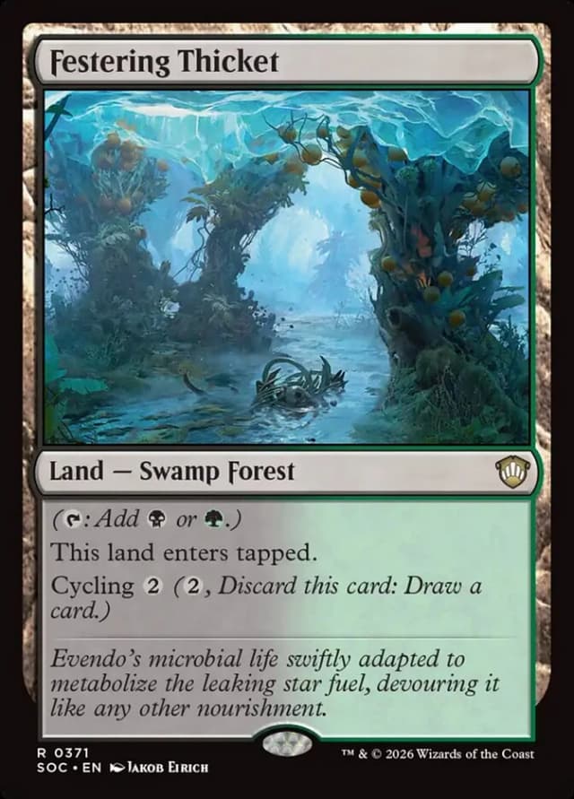 Festering Thicket image