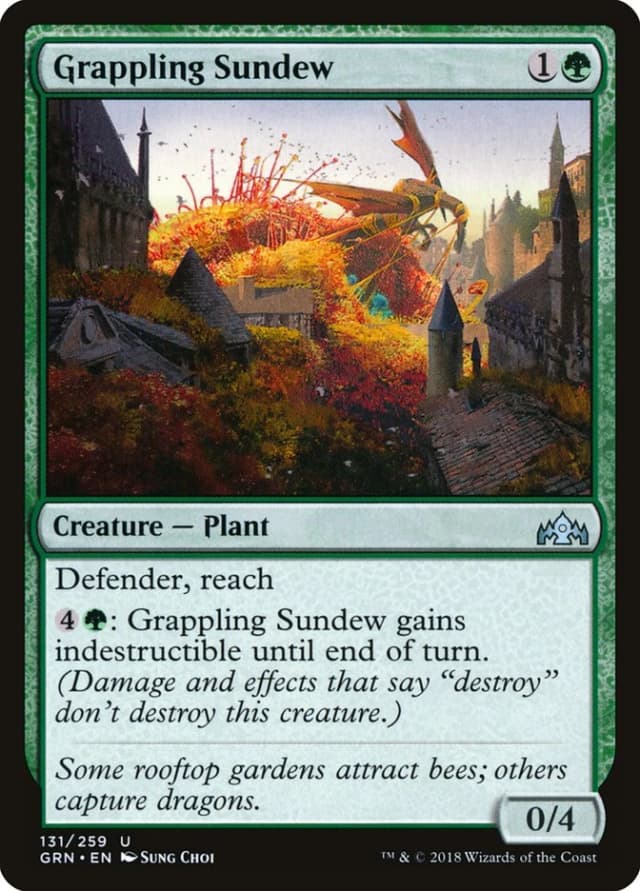Grappling Sundew image