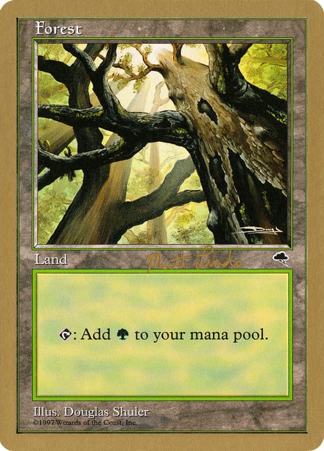 Forest image