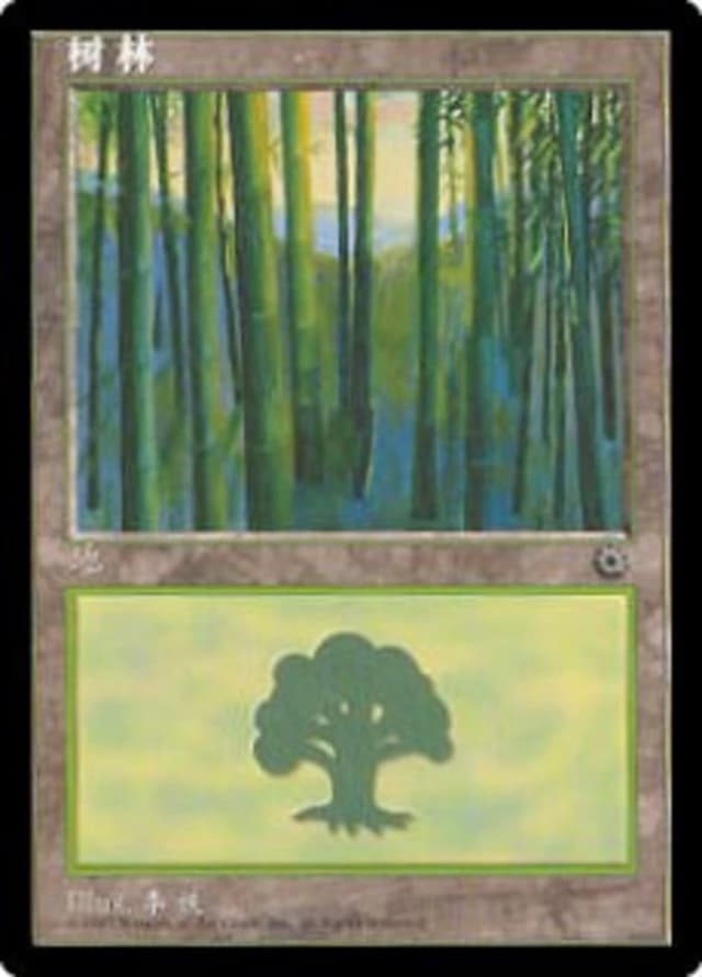 Forest image