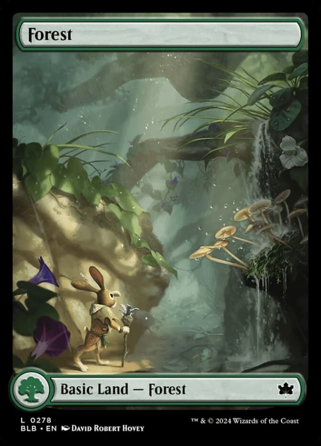 Forest image