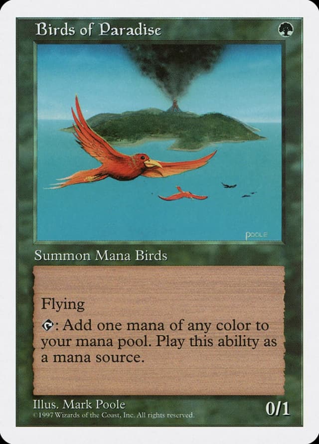 Birds of Paradise image