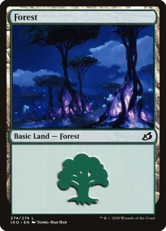 Forest image