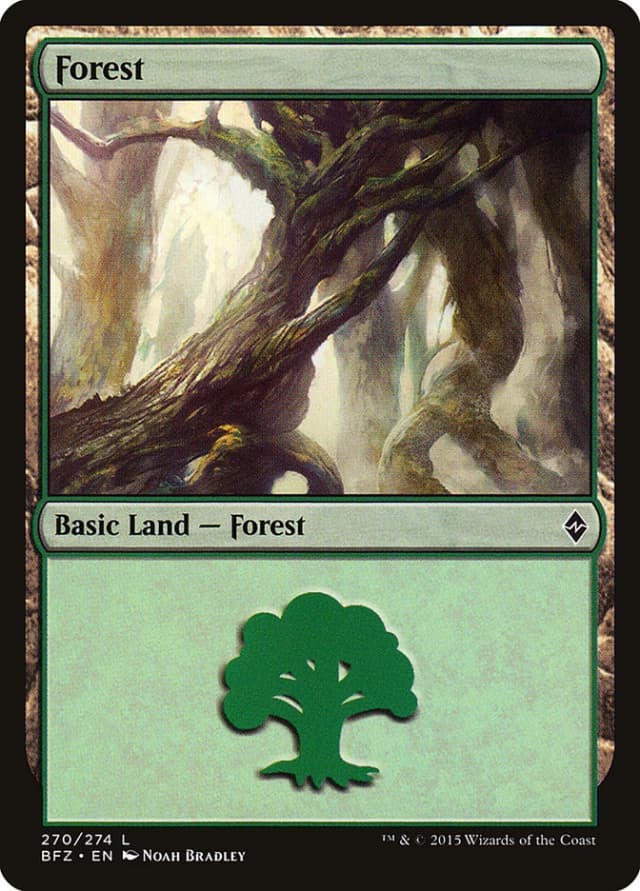 Forest image