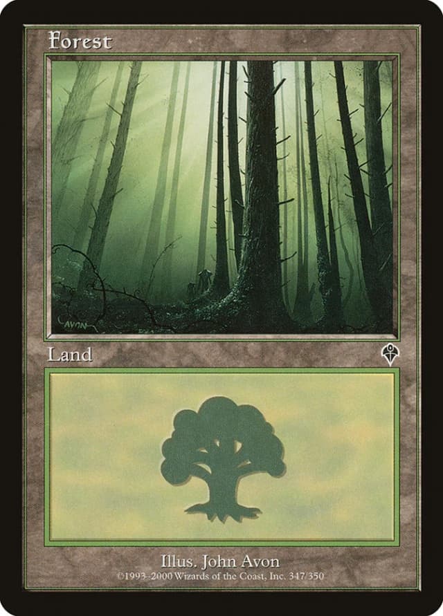 Forest image
