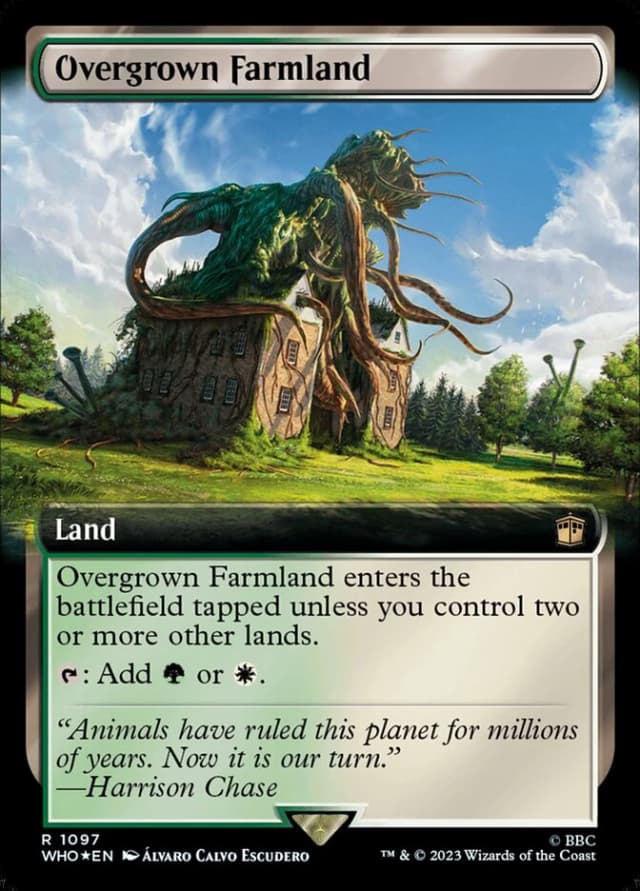 Overgrown Farmland image