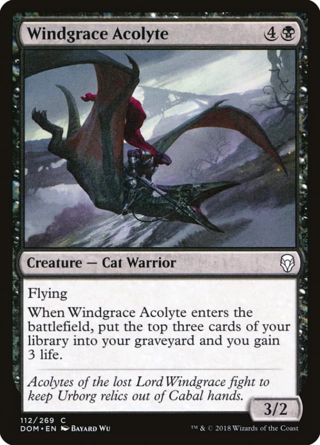 Windgrace Acolyte image