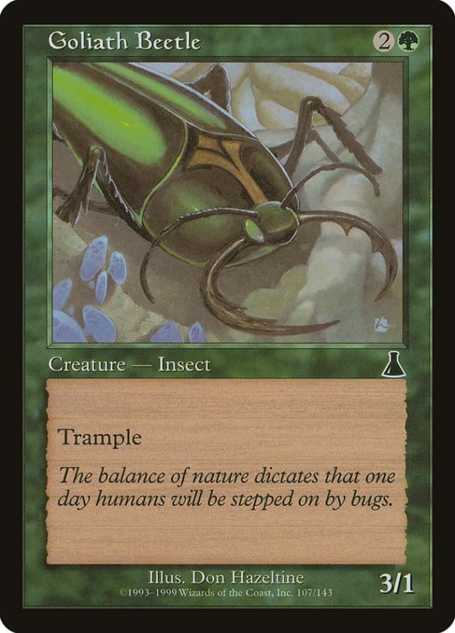Goliath Beetle image