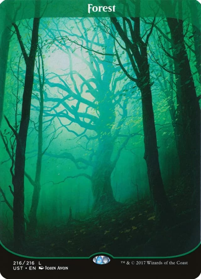 Forest image