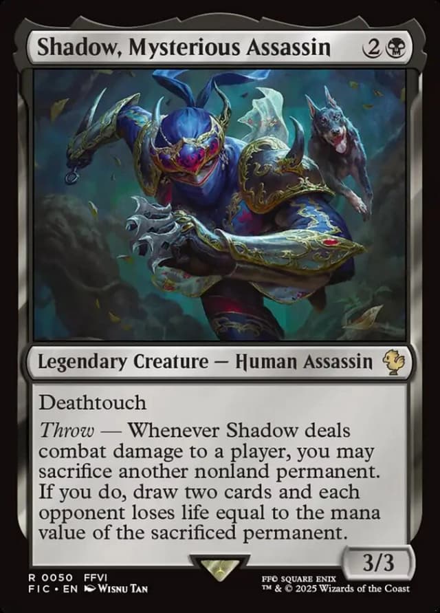 Shadow, Mysterious Assassin image